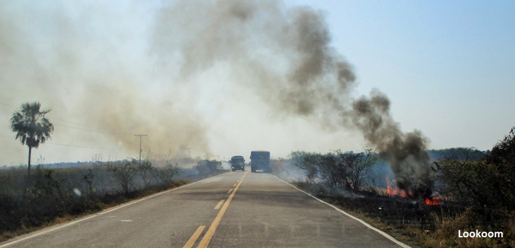 Slash-and-burn farming on the Trans-Chaco Highway, Paraguay