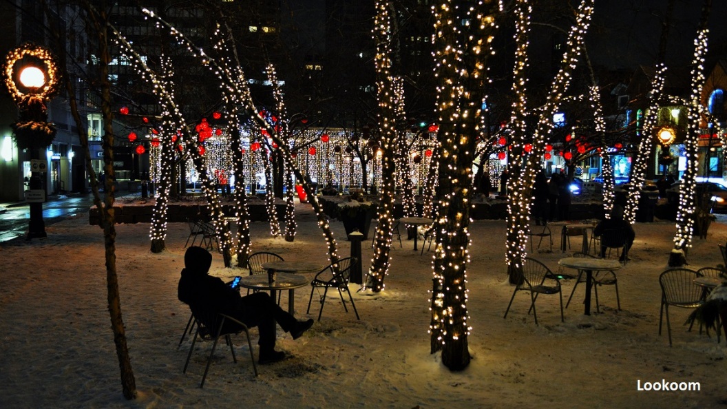 Toronto, Holiday Light Displays, Canada