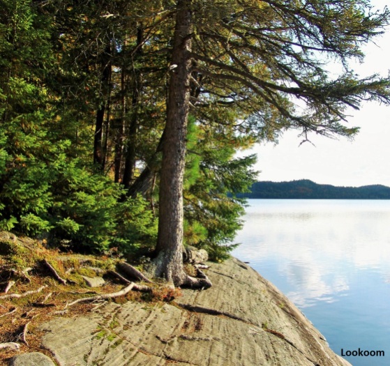 Lake of Two Rivers, Algonquin Provincial Park, Canada